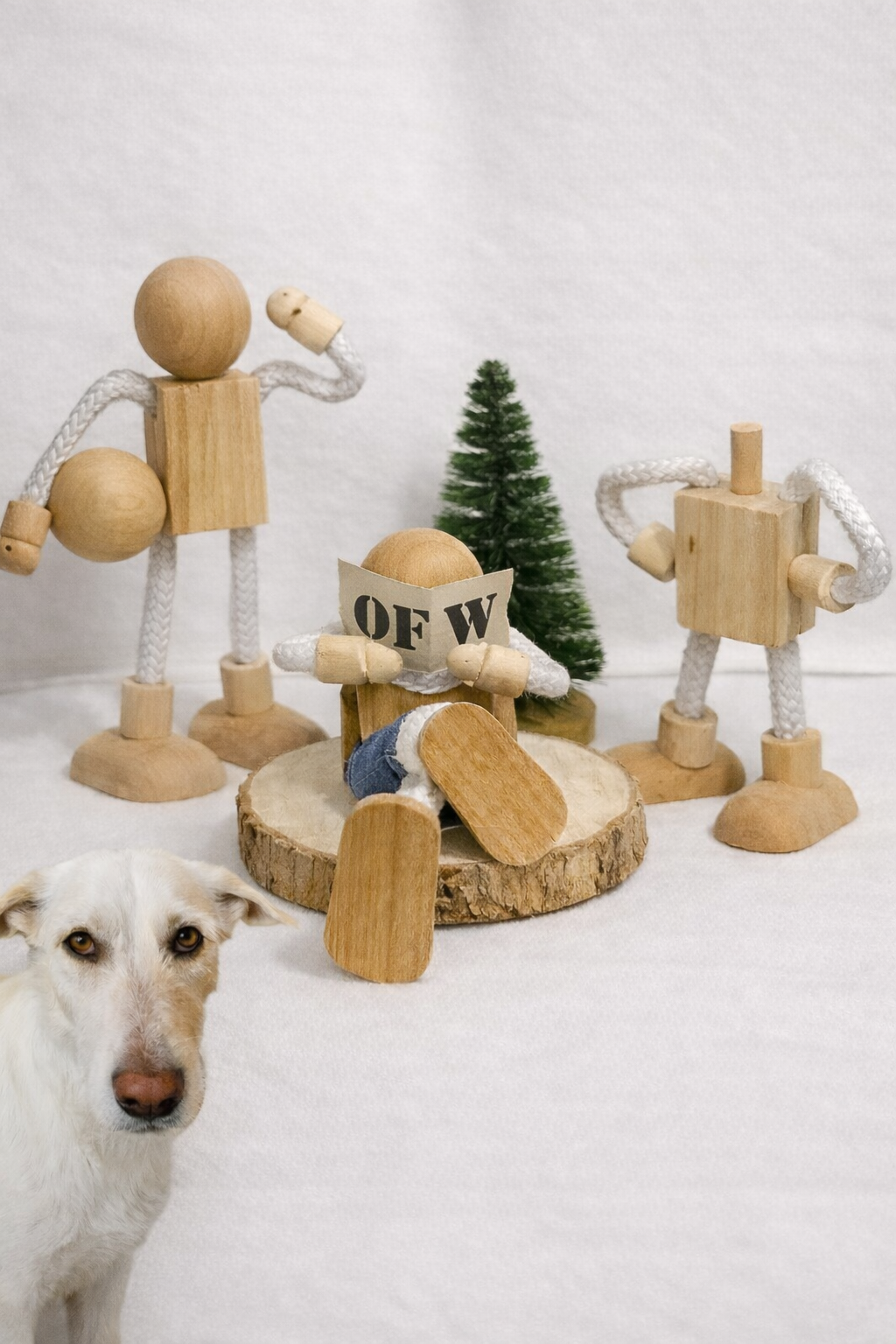 Soll & Haben Architekten